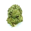 Yoda OG Strain