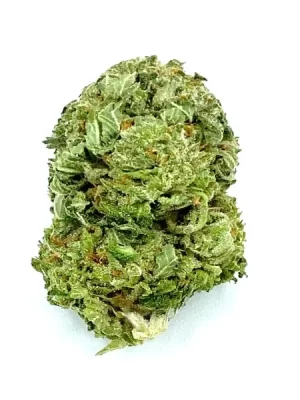 Yoda OG Strain