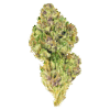 12 Pink Kush Strain
