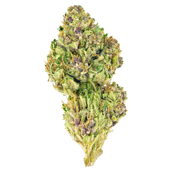 12 Pink Kush Strain