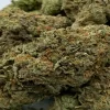 Animal Mints Strain