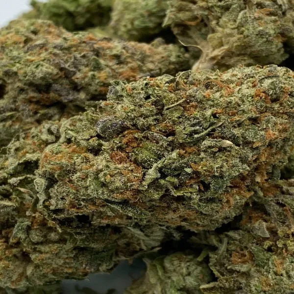 12-LA-bea-2-1.webp Animal Mints Strain