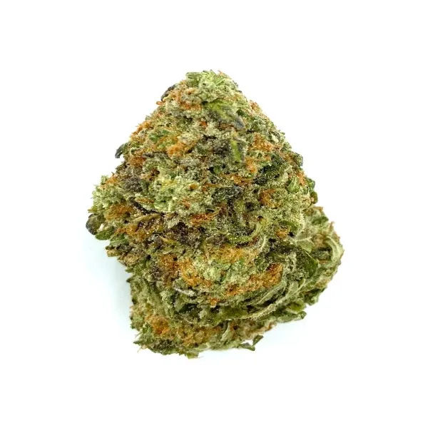 12-LA-bea-3-1.webp Animal Mints Strain