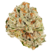 13 Violator Strain