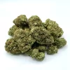 Sugar Cookies Strain