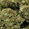 Sugar Cookies Strain