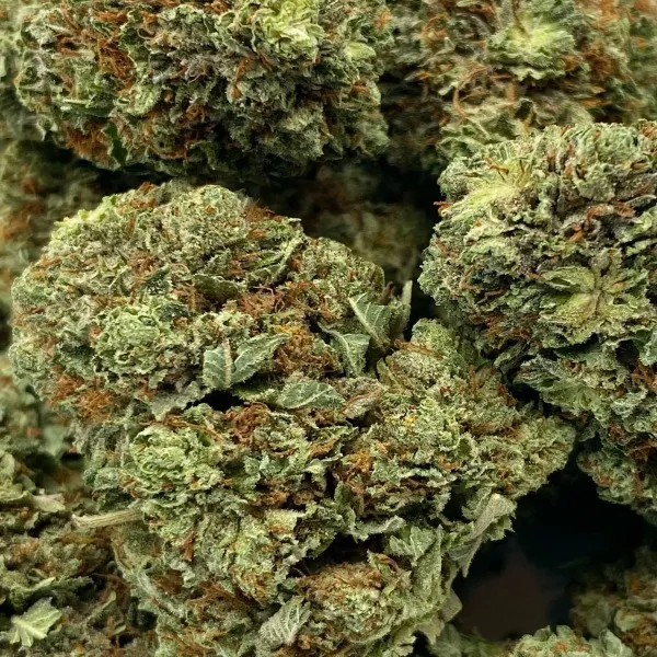 13-sugar-cookies-2-1.webp Sugar Cookies Strain