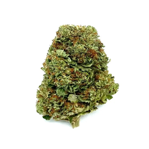 13-sugar-cookies-3-1.webp Sugar Cookies Strain