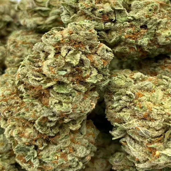 14-banana-punch-2-1.webp Banana Punch Strain (AAA-)