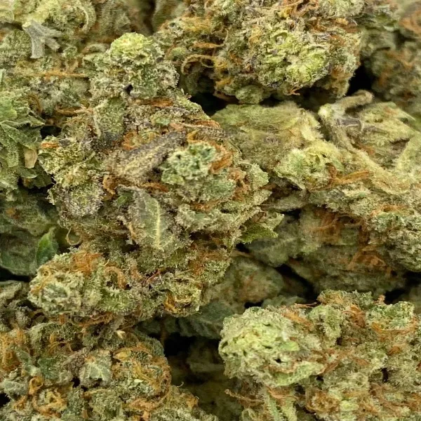 16-mac-1-smalls-2-1-1.webp Mac 1 Strain Smalls