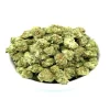 Violator Strain Smalls
