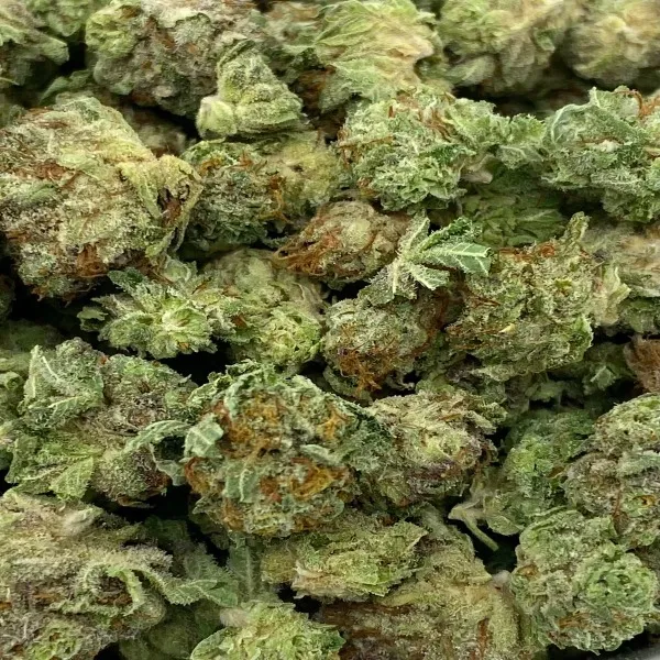 18-GCG-smalls-2-1.webp Gods Green Crack Strain Smalls