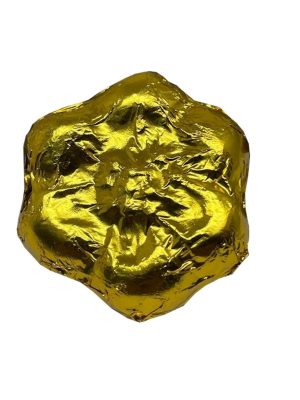 Mushroom Chocolates 1g