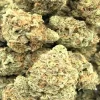 Mac 1 Strain