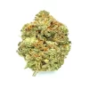 Mac 1 Strain