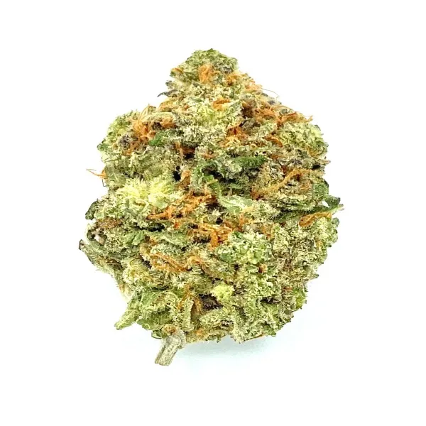2-mac1-1.webp Mac 1 Strain