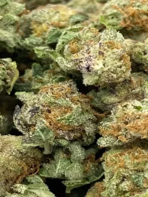 Pink Kush Strain Smalls
