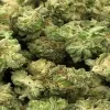 Animal Mints Strain Smalls