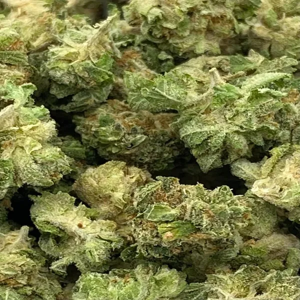 25-la-bea-2-1.webp Animal Mints Strain Smalls