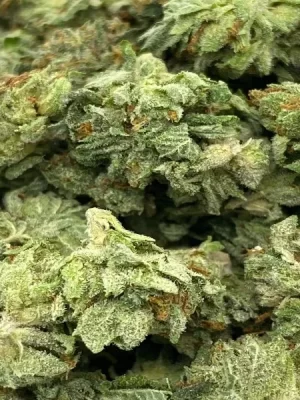 Sugar Cookies Strain Smalls