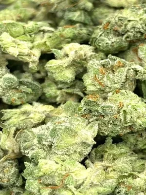 Giesel Cookies Strain Smalls