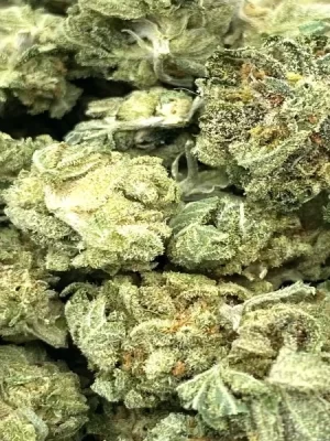 Gorilla Glue #4 Smalls (AA)