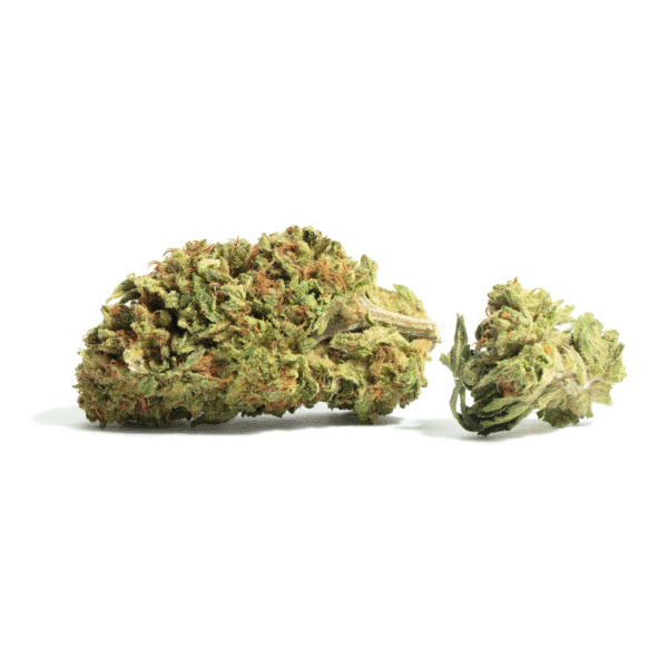 34 Dark Matter Strain