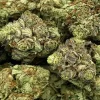 Star Dawg Strain