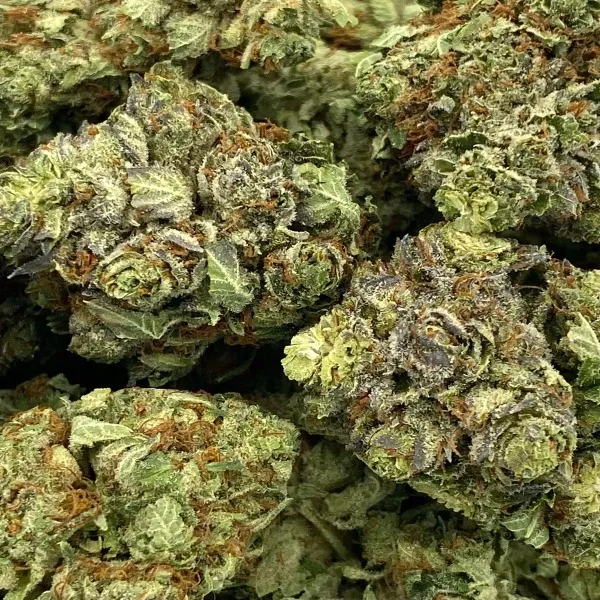 5-four-star-gen-2-1.webp Star Dawg Strain