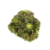Star Dawg Strain