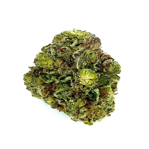 5-four-star-gen-3-1.webp Star Dawg Strain