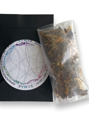 Changa DMT