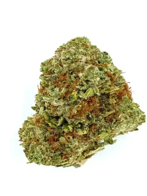 Gorilla Glue #4 Strain