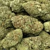 Runtz Strain