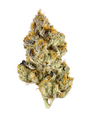 99 Gelato Strain