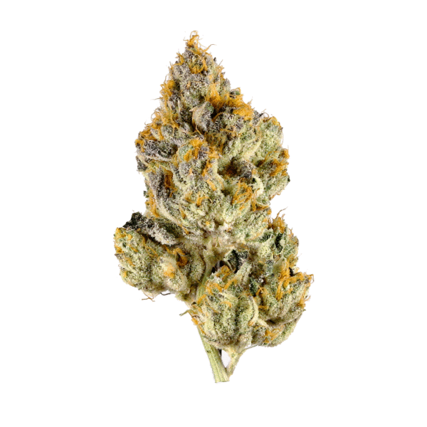 99 Gelato Strain