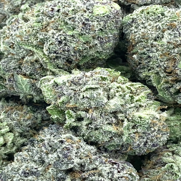 God’s Green Crack Strain (AAA+)