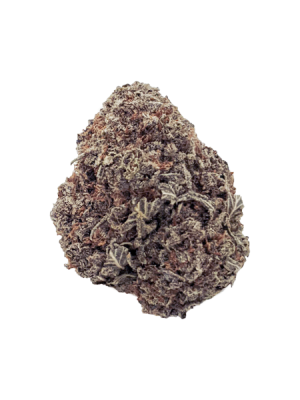 New Gelato Strain