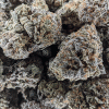 New Gelato Strain