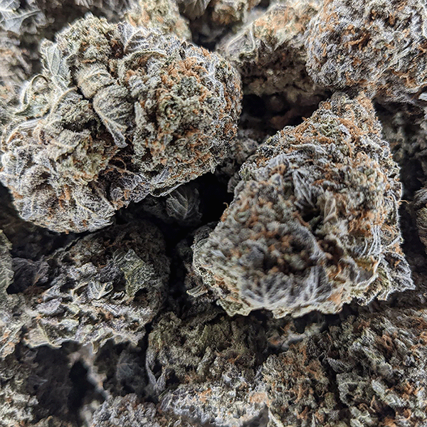 New Gelato Strain