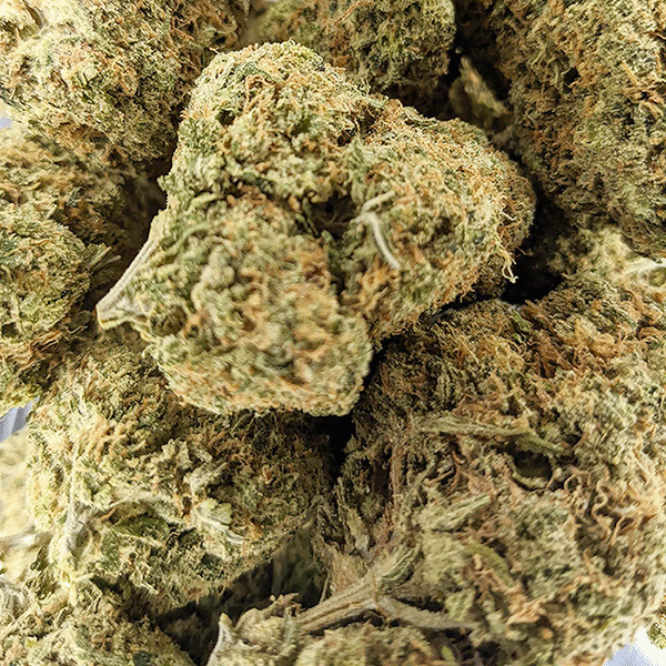 AAA Green Crack Strain