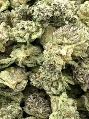 McFlurry Strain Mediums