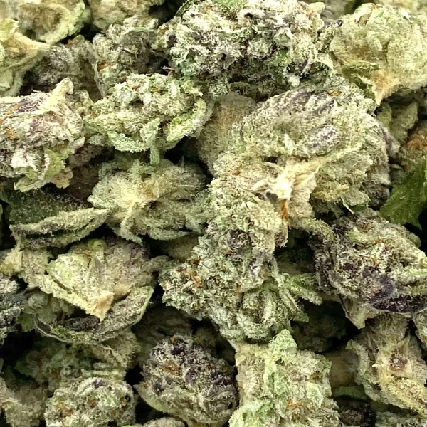 IMG_E0202-1.webp McFlurry Strain Mediums