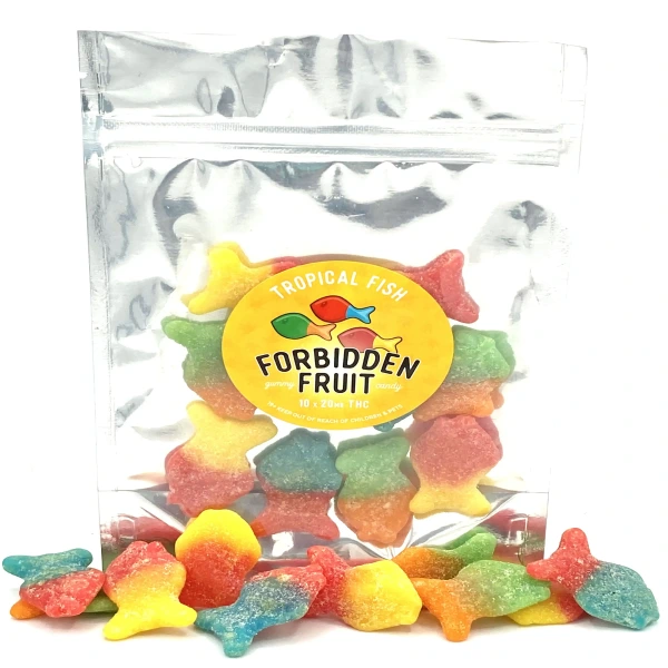 IMG_E0249.webp Forbidden Fruit – Tropical Fish