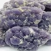 Forbidden Fruit – Grapes