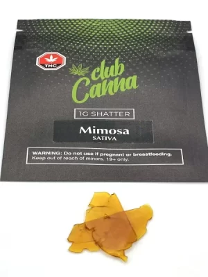 Club Canna – Mimosa Shatter