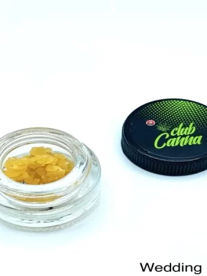 Sugar Wax Bundle