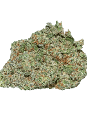 Mimosa Strain (AAA+)
