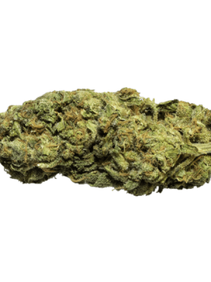 Tangie Strain (AAA)