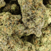 AAAA Runtz Strain